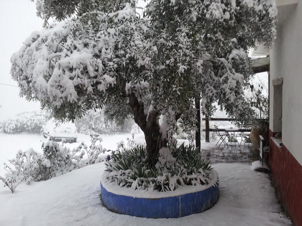 Hotel Finca Aldabra Pinos Genil Εξωτερικό φωτογραφία