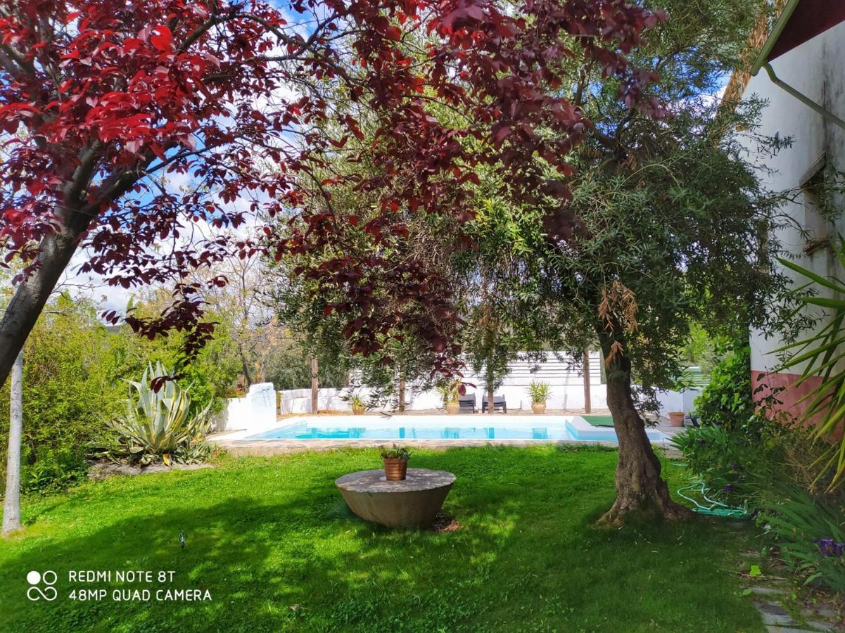 Hotel Finca Aldabra Pinos Genil Εξωτερικό φωτογραφία